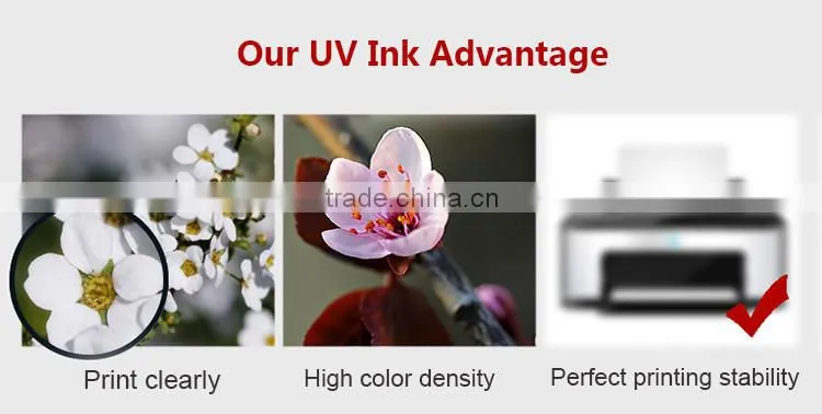 1000ML Pigment ink for Epson 6 colors T0821 T0801