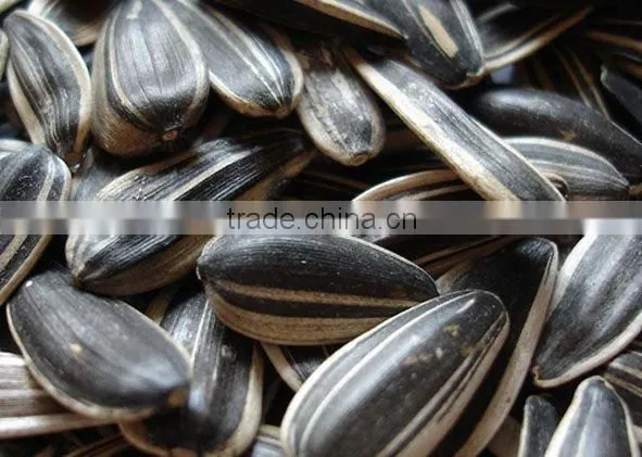 peeled sunflower seeds