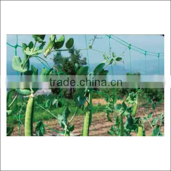 High quality green color climbing plant support net
