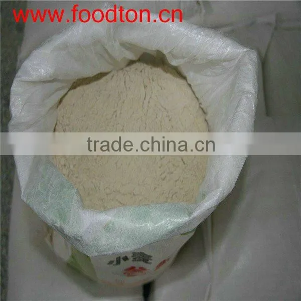 wheat gluten