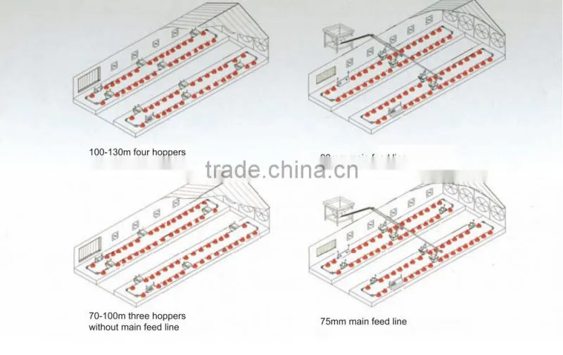 Poultry farm equipment for breeder