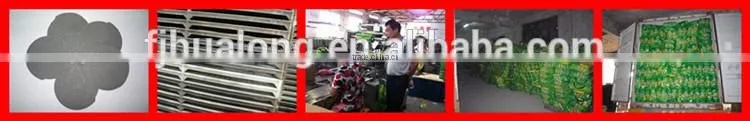 Professional manufacture plant fiber paper mosquito coil in Fujian China 20 years