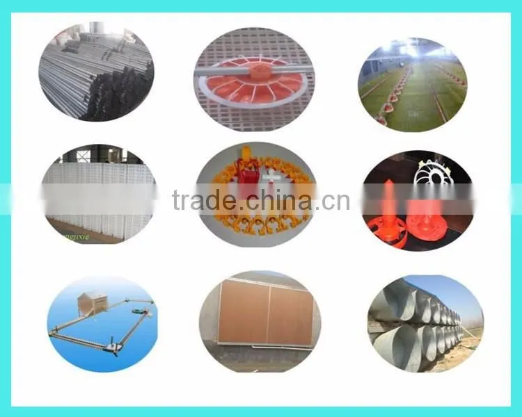 feeding pan and drinker system sale for indian poultry farm machinery