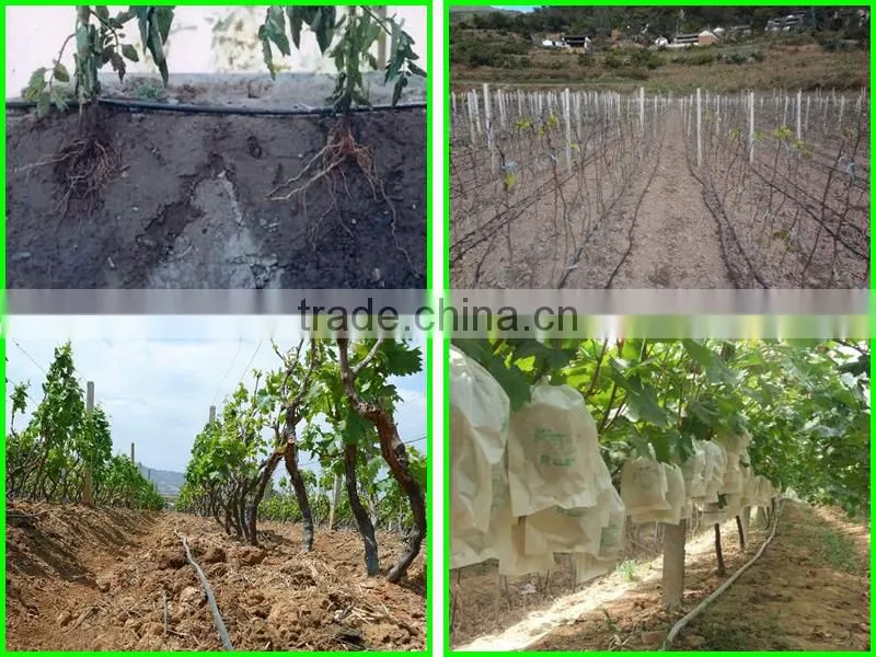 agriculture drip irrigation pipe
