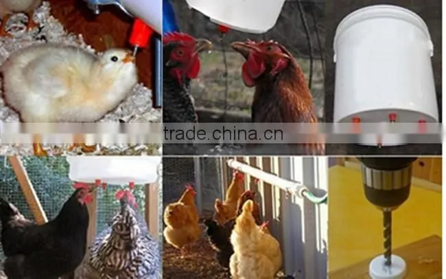 Popular Full Automatic chicken drinking nipple for Broiler HJ-DN004