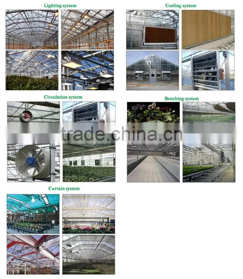 RoughBrothers PolyArch-RD2 Muli-span Galvanized Steel Frame Agricultural greenhouse