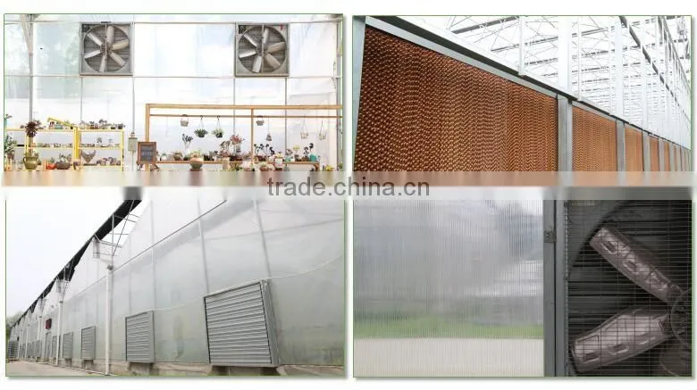 Industrial Exhaust fan Ventilation fan for agriculture greenhouse