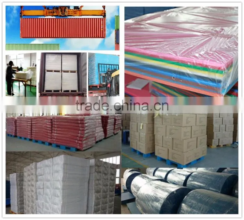 Colorful PP Corrugated Sheet/Coroplast