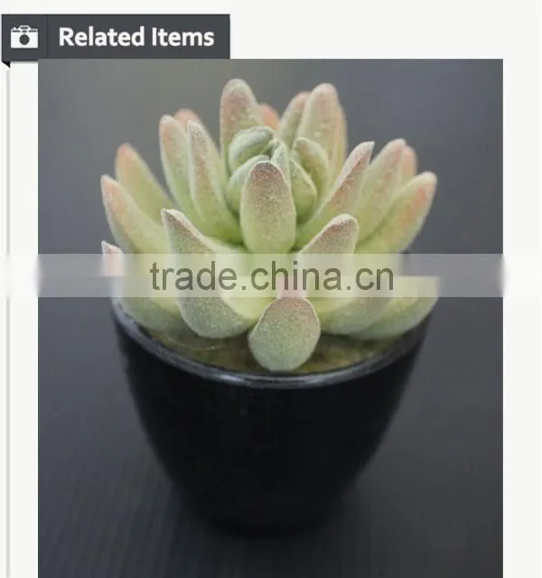 Potted artificial mini succulents