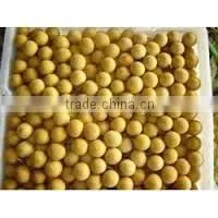 Longan Fruit