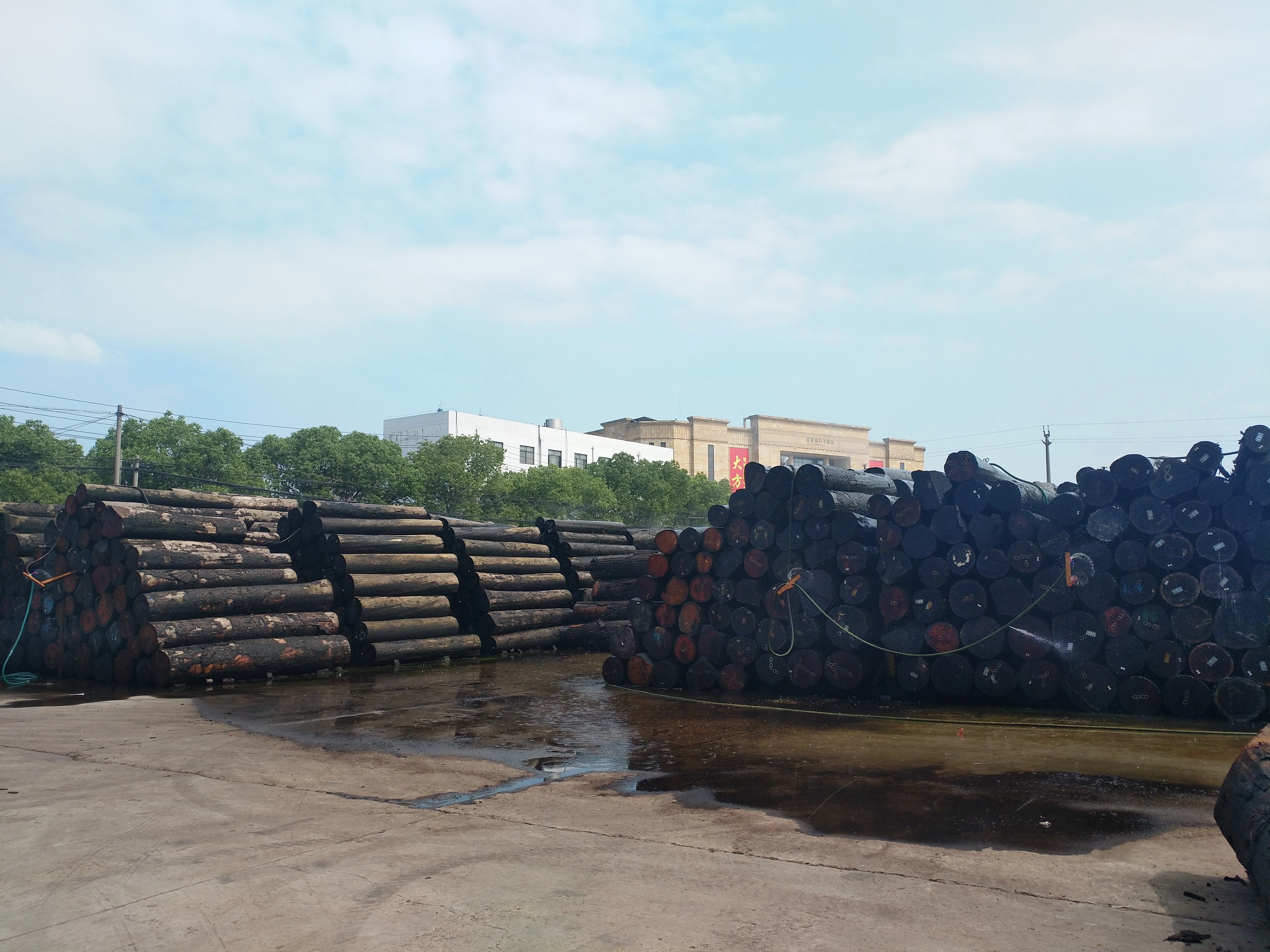 Shunfang Veneer company overview - view 3