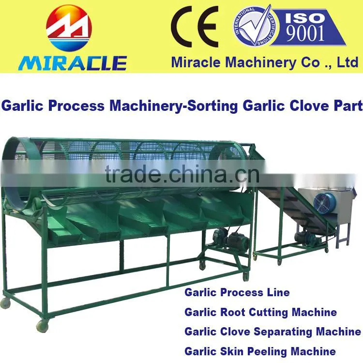 Low damage garlic cloves grading machine with lowest consumption to sort garlic by size