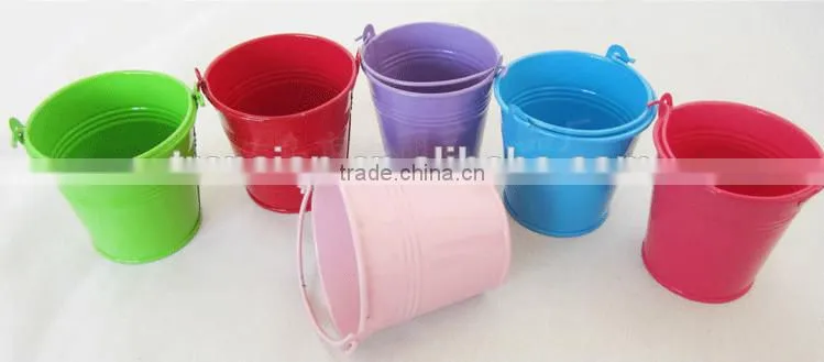 CCGB-G109 New Available Mini Metal flower bucket, garden bucket, creative bucket