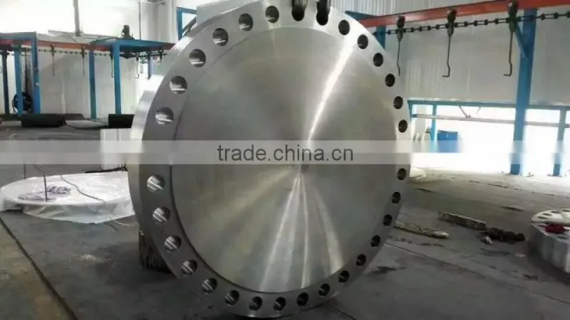 Carbon steel / stainless steel flange forged flanges manufacturer