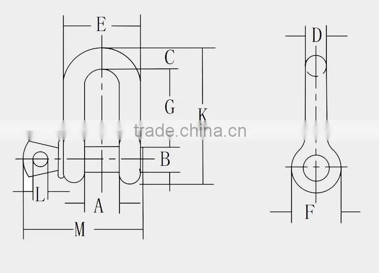 Stainless Steel G210 Straight D Shackle