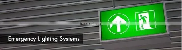 Electronic Vibration Detector System