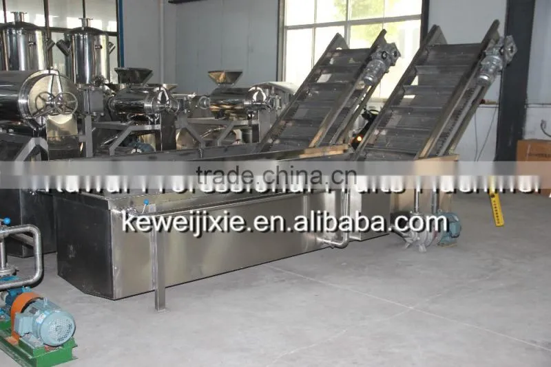 3 ton LXJ-3 Model showering (water bath) type berry fruit washer(Industrial berry fruits washer)