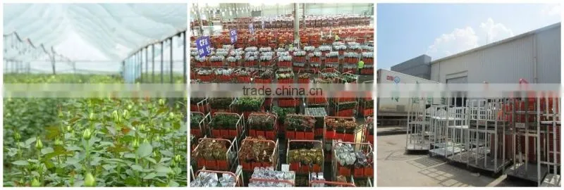 Home Decor Fresh Leather Leaves Fern For Wedding Leather Process Plant Fern