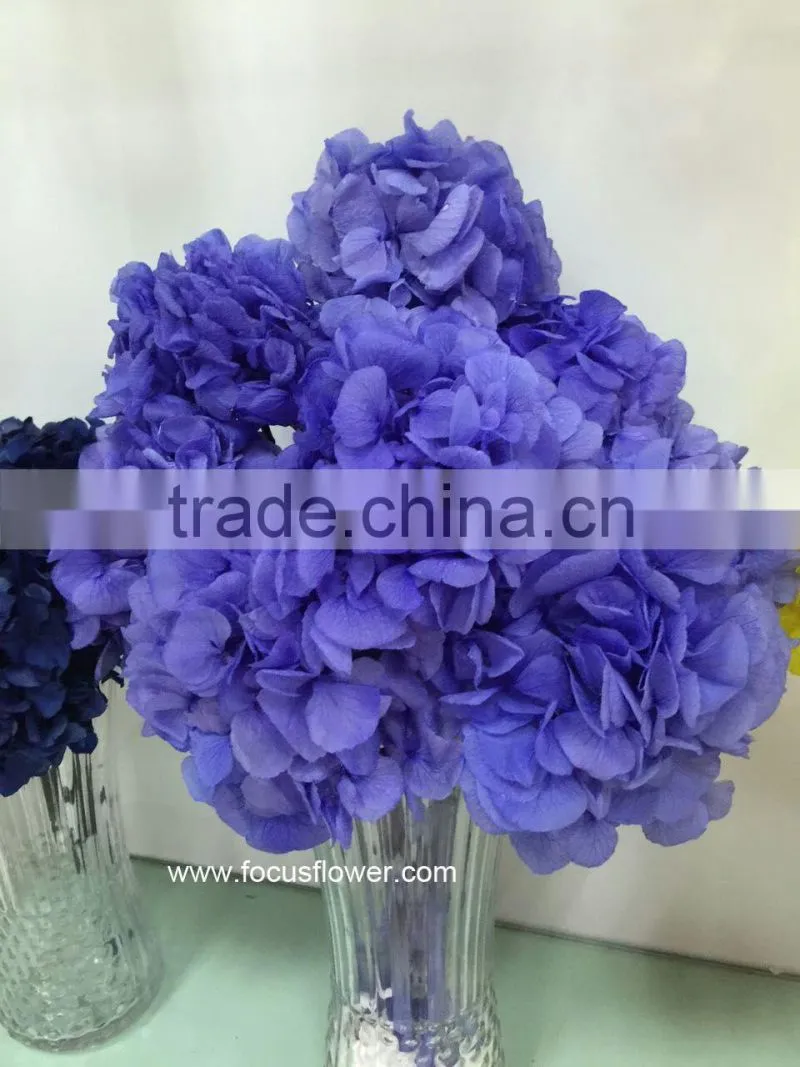 High Quality Fresh Preserved Flower Blue White Hydrangea Bouquet For Christmas