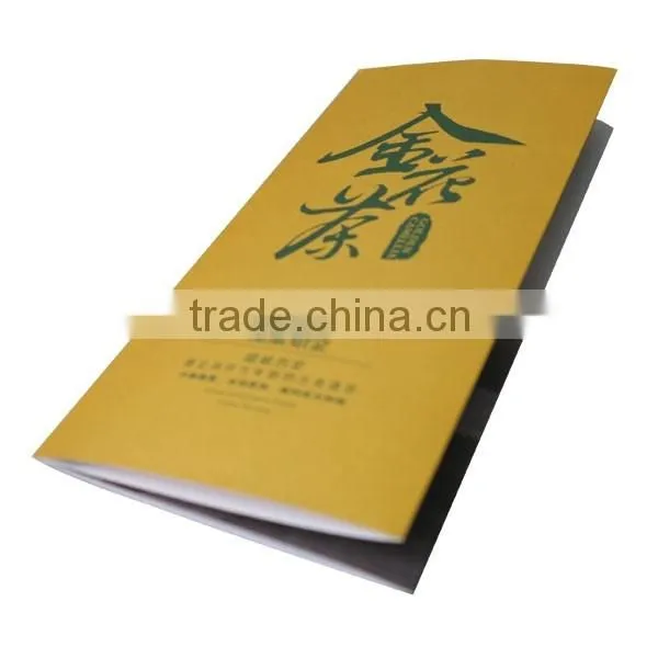 OEM Guangzhou factory high quality offset printing booklet printing