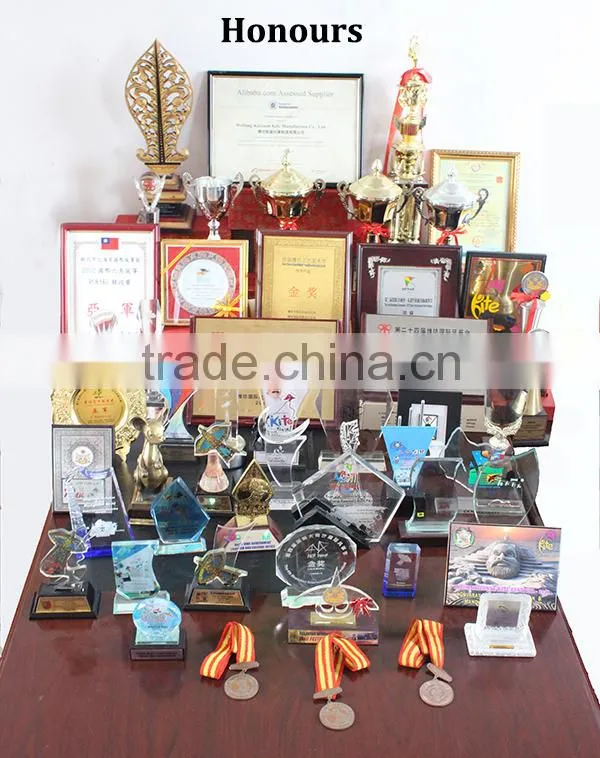 Fish kite, inflatble kite, large show kite from weifang kite factory.