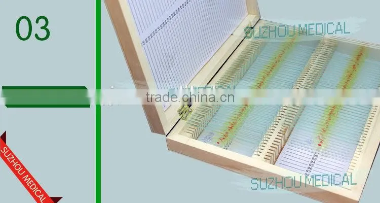 100pieces set mixed prepared slides