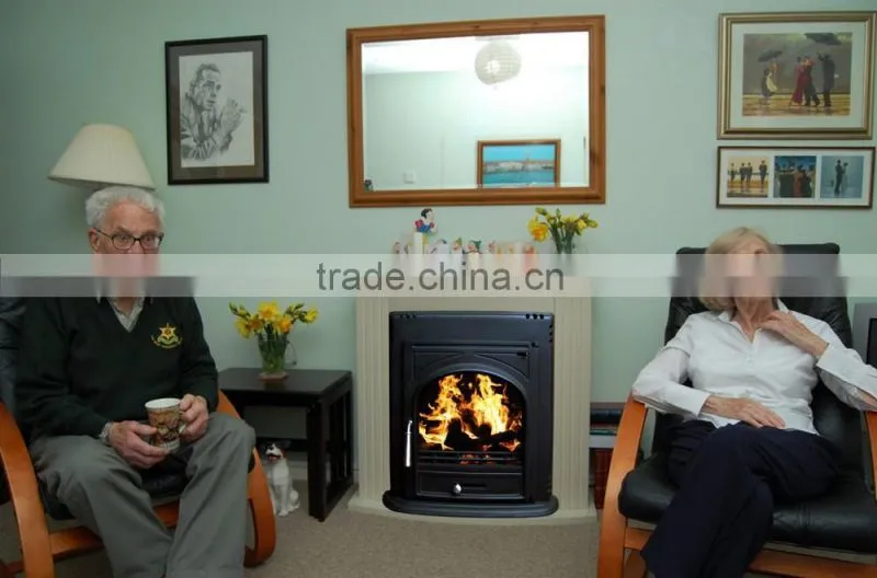 Modern Design Cast Iron Wood Burning Insert Stove for sale