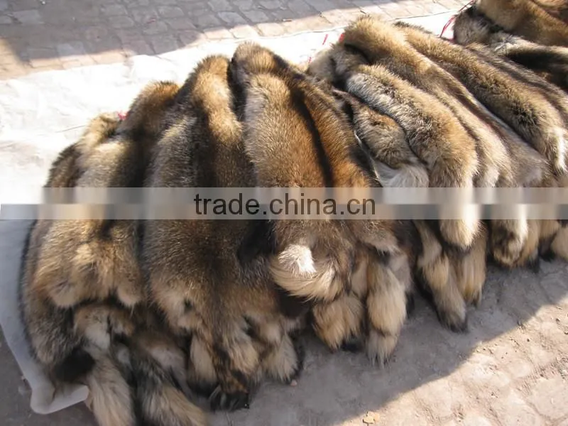 2016/2017 Real Tanning Raccoon Fur Skin