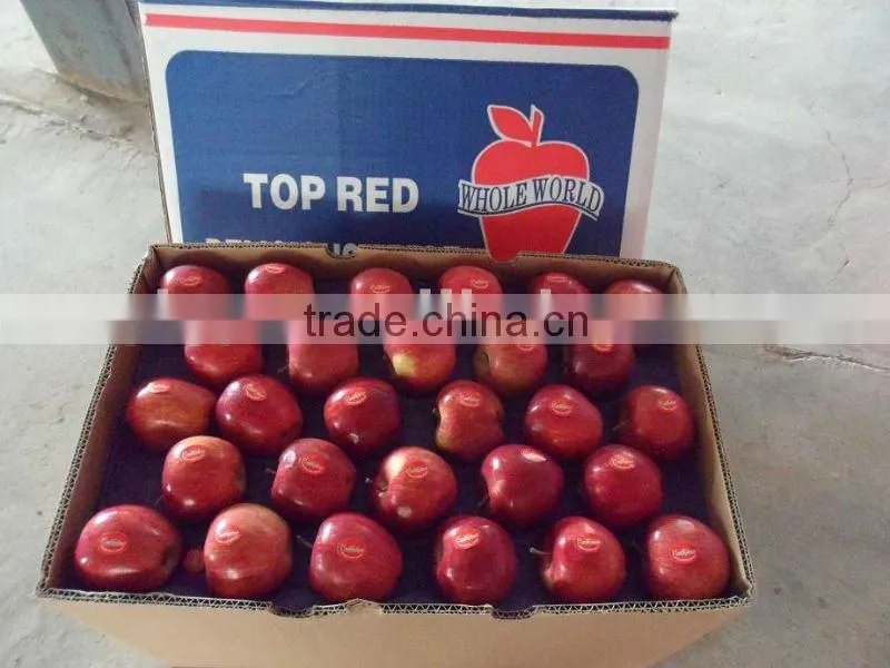 RED DELICIOUS APPLE 2015