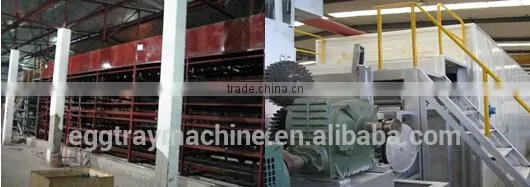 fiber molding made in China paper making machine egg tray carton 2700 pcs/hour