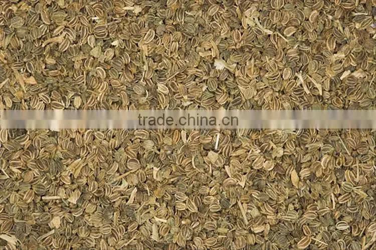 CELERY SEED OIL (Apium graveolens)