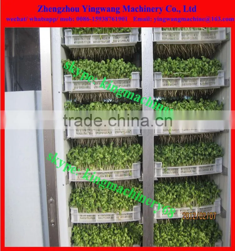 food machine to produce bean sprouts