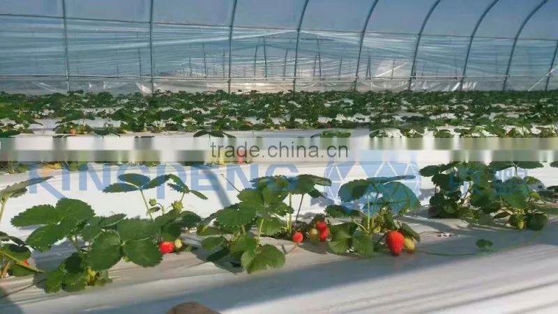 Tunnel Greenhouse