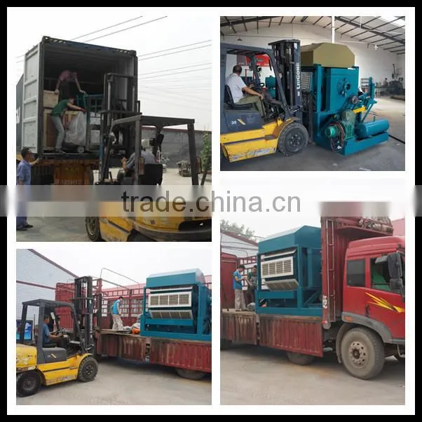paper pulp molding egg carton machine factory