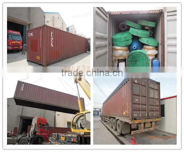 5 ton per day Sunflower seed oil extraction machines With Original Design