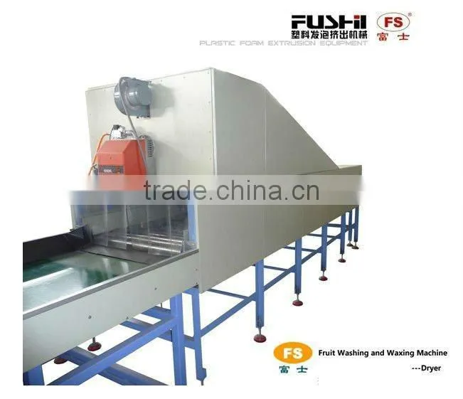 Electronic Fruit & Vegetable Washing Waxing and Grading Machine
