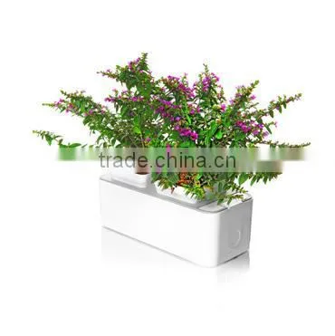 Luxury Grow Garden/Aquarium/Mini flower Garden smart fish tank