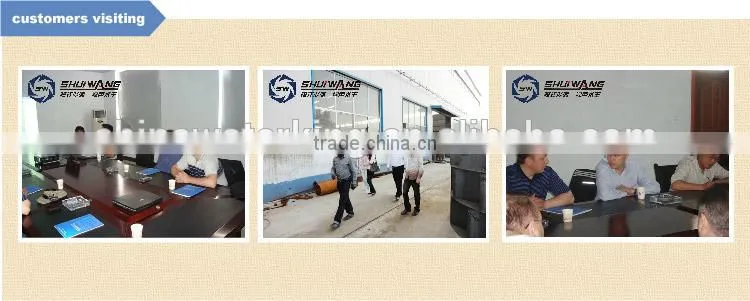SW-2 Automatic small Water Filter hot sale from China