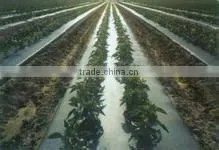 blow molding greenhouse /mulch film