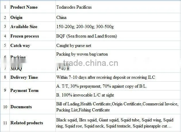 Whole Round BQF Frozen Todarodes Pacificus Squid