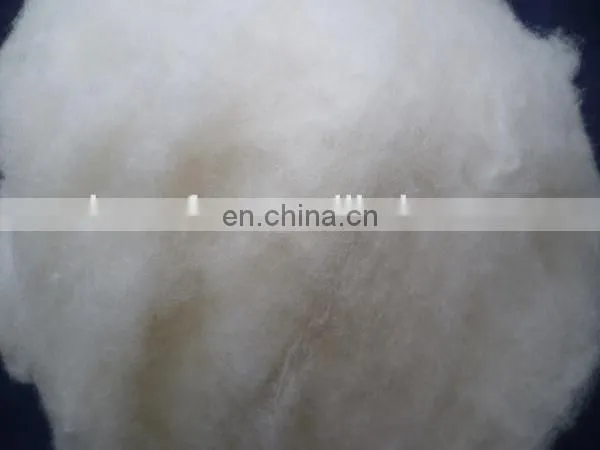 Combed and Worsted Sheep Wool Tops Roving White 21.5mic/44mm