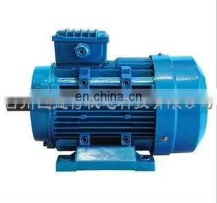 THREE PHASE ELECTRIC MOTOR