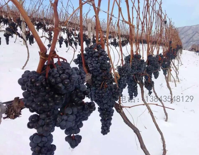 Ji\'an Midea Manor Winery Co., Ltd company overview - view 2