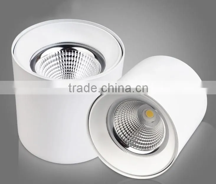 High Quality IP44 Indoor Using CREE Chips Lifud Driver Surface Mount Adjustable 20W 30W COB LED Round Downlight