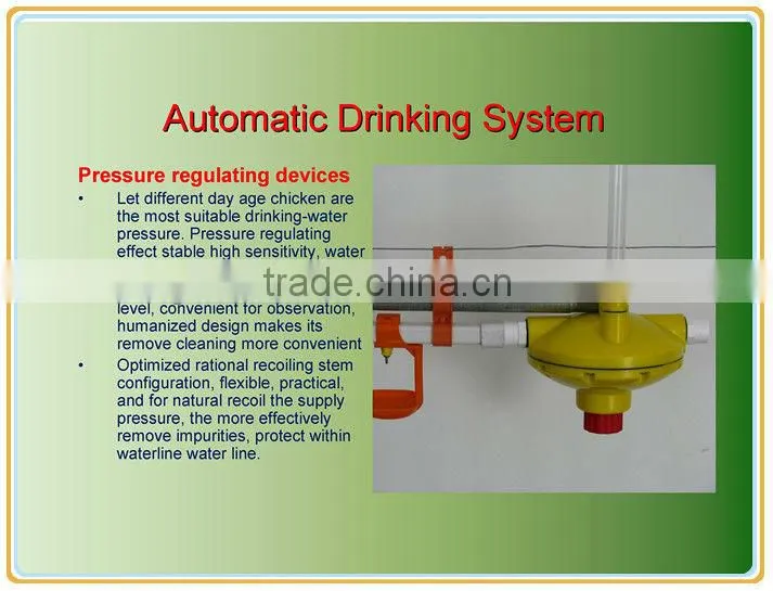 chicken poultry farm equipment