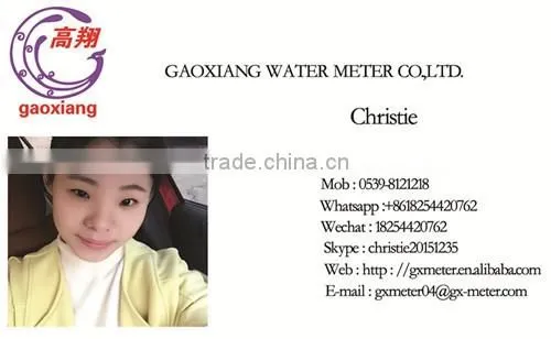 Sigle Jet Dry Type Water Meter Domestic Water Meter
