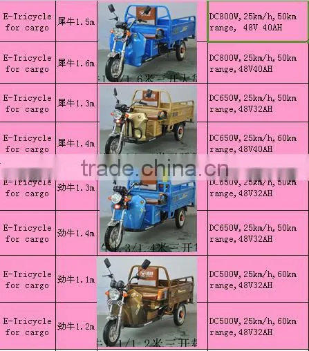 2016 E RICKSHAW