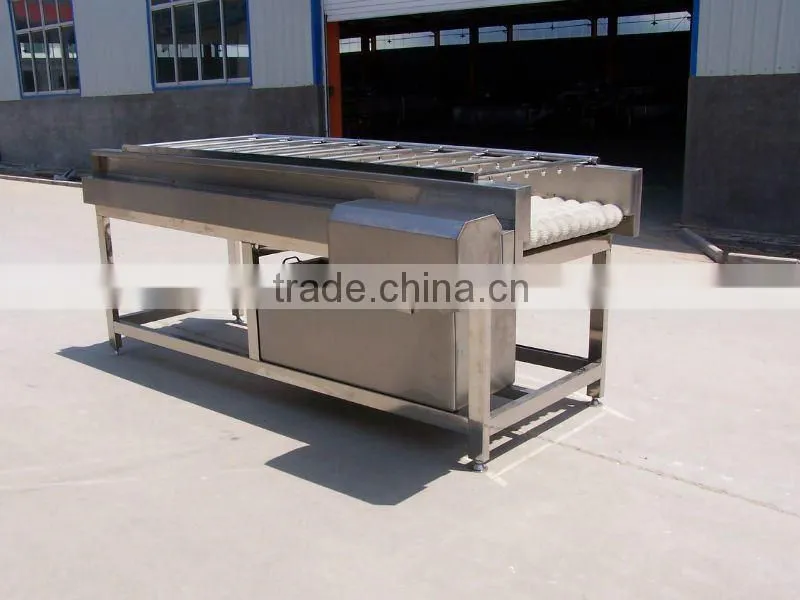 brush washing machine