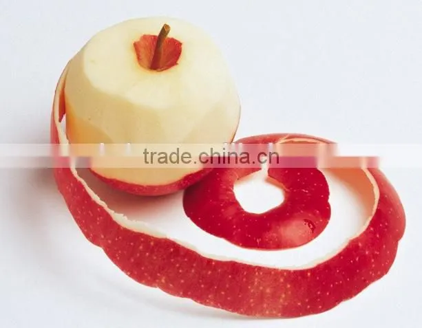 Top sale Stainless steel kiwi peeler for persimmon, apple, pear and different fruits