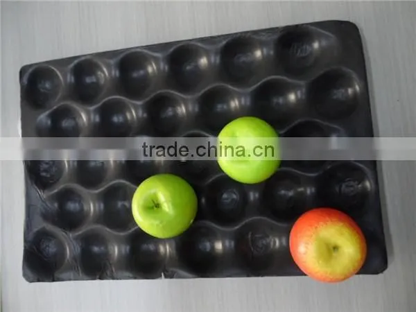 PS Plastic Fruit Tray